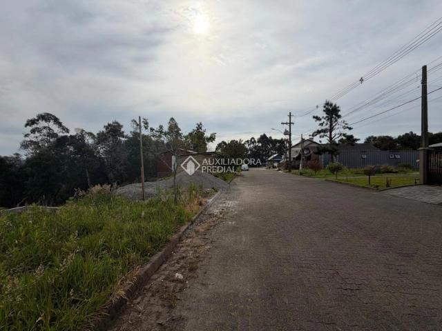 Terreno venda em Canela