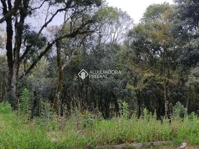 Terreno venda em Região Geográfica Imediata de Caxias do Sul, Canela