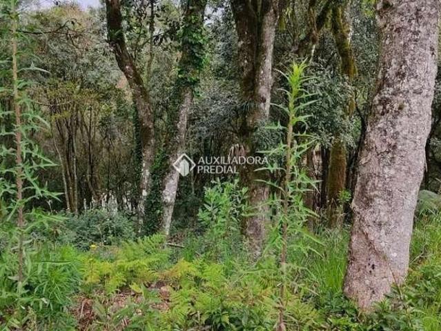 Terreno venda em Região Geográfica Imediata de Caxias do Sul, Canela