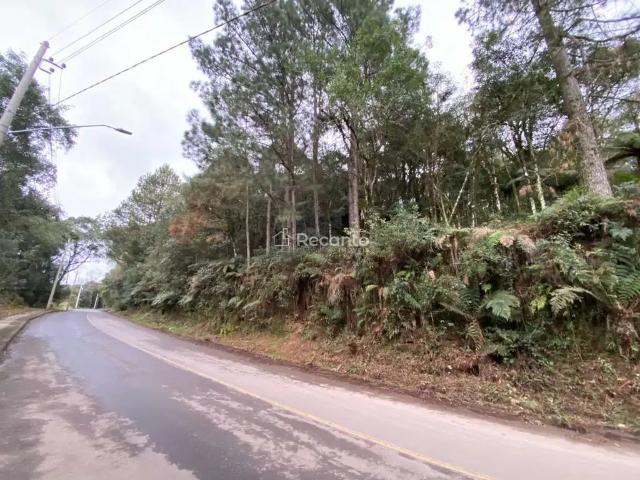 Terreno venda em Região Geográfica Imediata de Caxias do Sul, Canela