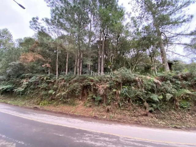Terreno venda em Região Geográfica Imediata de Caxias do Sul, Canela