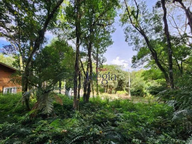 Terreno venda em Região Geográfica Imediata de Caxias do Sul, Canela