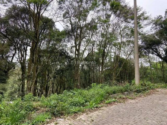 Terreno venda em Região Geográfica Imediata de Caxias do Sul, Canela