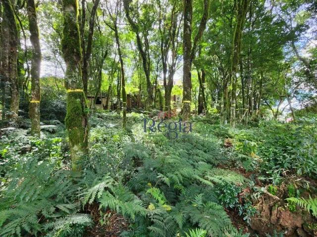Terreno venda em Região Geográfica Imediata de Caxias do Sul, Canela