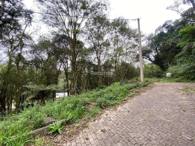 Terreno venda em Região Geográfica Imediata de Caxias do Sul, Canela