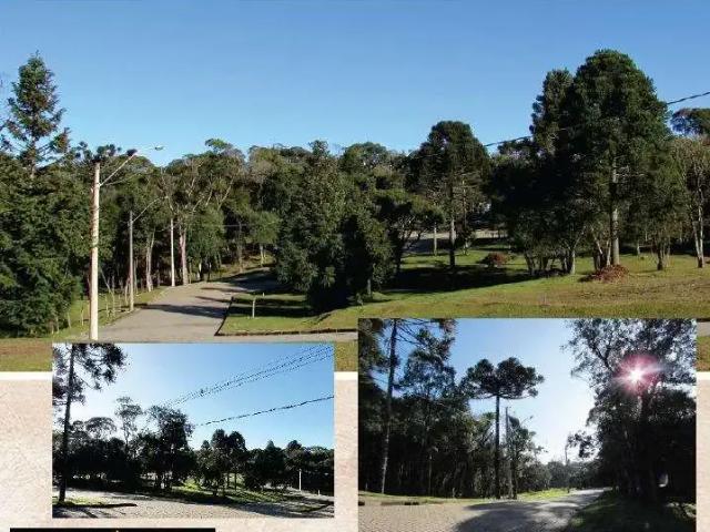 Terreno venda em Região Geográfica Imediata de Caxias do Sul, Canela