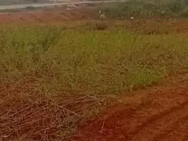 Terreno venda em Moura, Canelinha
