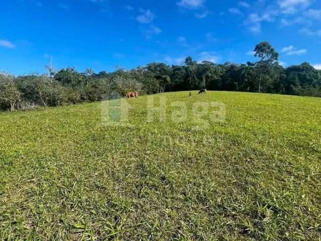 Terreno venda em Região Geográfica Imediata de Brusque, Canelinha