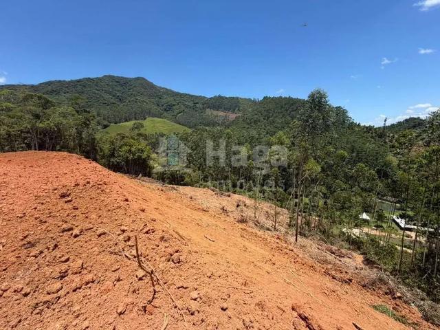 Terreno venda em Região Geográfica Imediata de Brusque, Canelinha