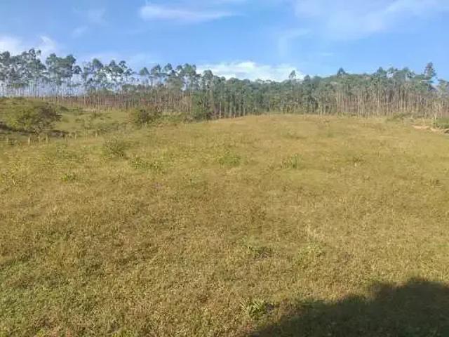 Terreno venda em Região Geográfica Imediata de Brusque, Canelinha