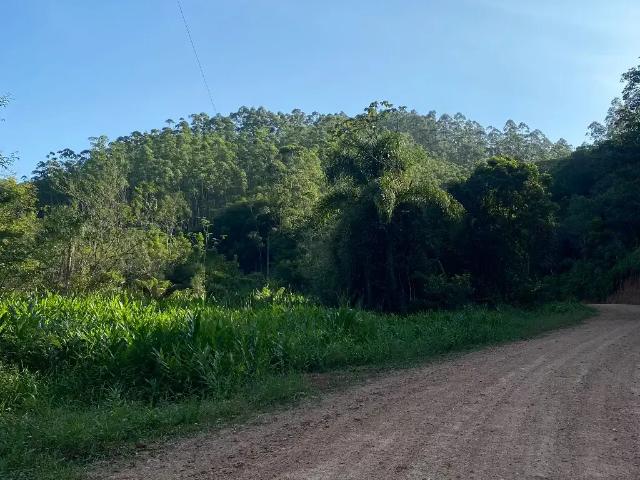 Terreno venda em Região Geográfica Imediata de Brusque, Canelinha