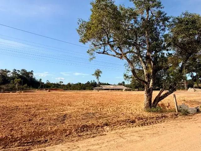 Terreno venda em Região Geográfica Imediata de Brusque, Canelinha