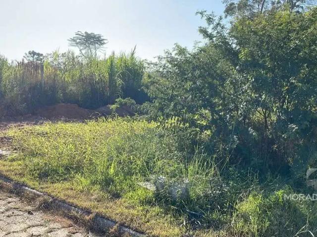 Terreno venda em Região Geográfica Imediata de Brusque, Canelinha