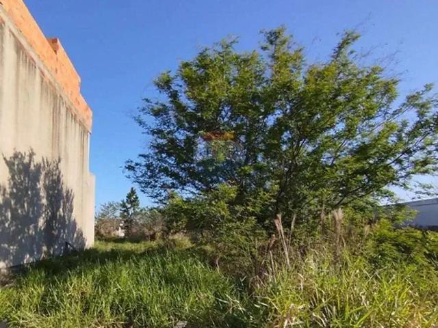 Terreno venda em Região Geográfica Imediata de Porto Alegre, Região Metropolitana de Porto Alegre