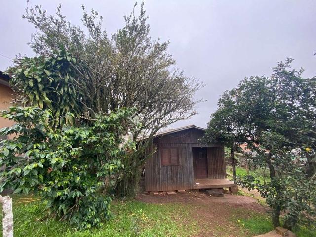 Terreno venda em Região Geográfica Imediata de Goiás - Itapuranga, Nova Crixás