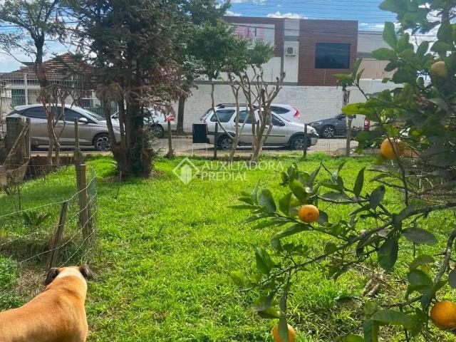 Terreno venda em Canoas