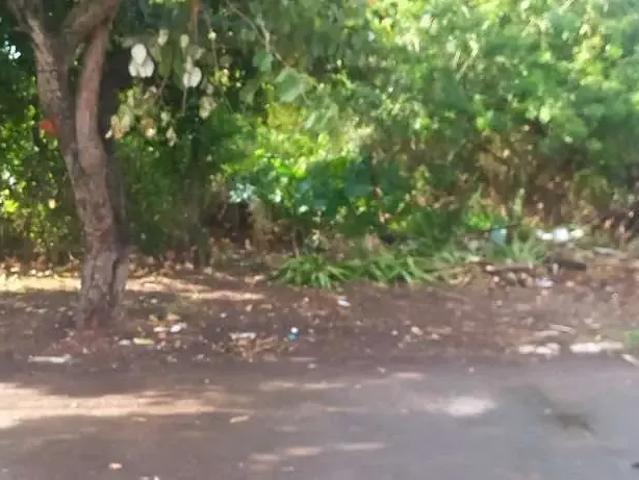 Terreno venda em Região Geográfica Imediata de Porto Alegre, Região Metropolitana de Porto Alegre