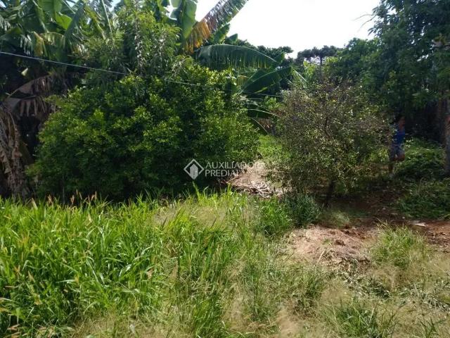 Terreno venda em Região Geográfica Imediata de Porto Alegre, Região Metropolitana de Porto Alegre