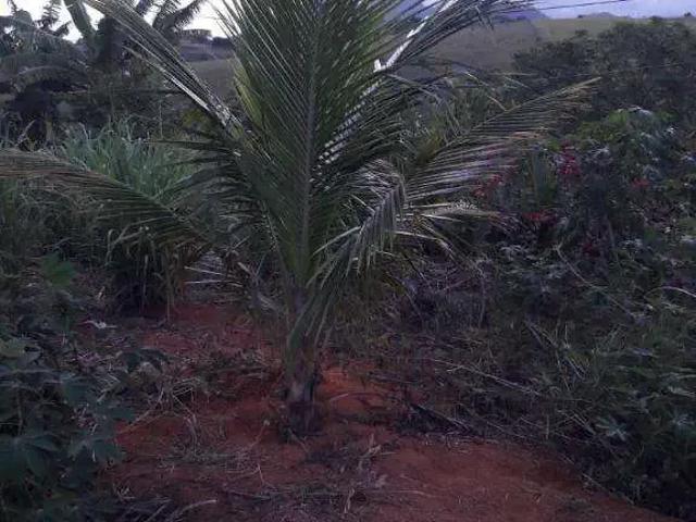 Terreno venda em Região Geográfica Imediata de Angra dos Reis, Angra dos Reis