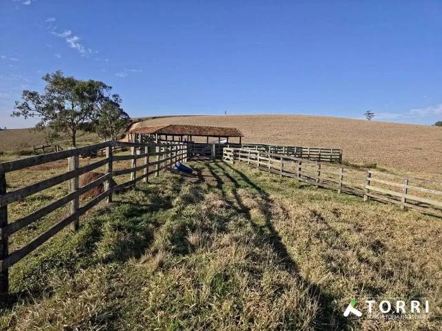 Terreno venda em Região Imediata de Itapeva, Capão Bonito