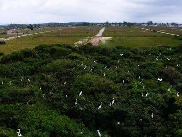 Terreno venda em Região Geográfica Imediata de Tramandaí - Osório, Aglomeração Urbana do Litoral Norte