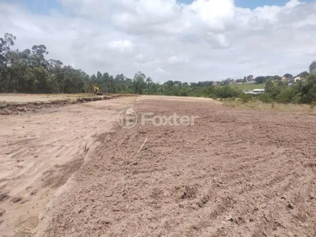 Terreno venda em Região Geográfica Imediata de Novo Hamburgo - São Leopoldo, Região Metropolitana de Porto Alegre