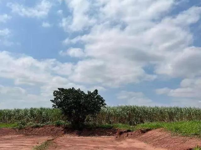 Terreno venda em Região Imediata de Piracicaba, Região Metropolitana de Piracicaba
