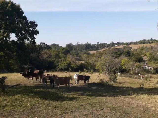 Terreno venda em Região Imediata de Catanduva, Jataúba