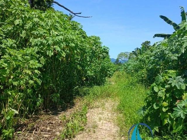 Terreno venda em Balneário Mar Azul, Caraguatatuba