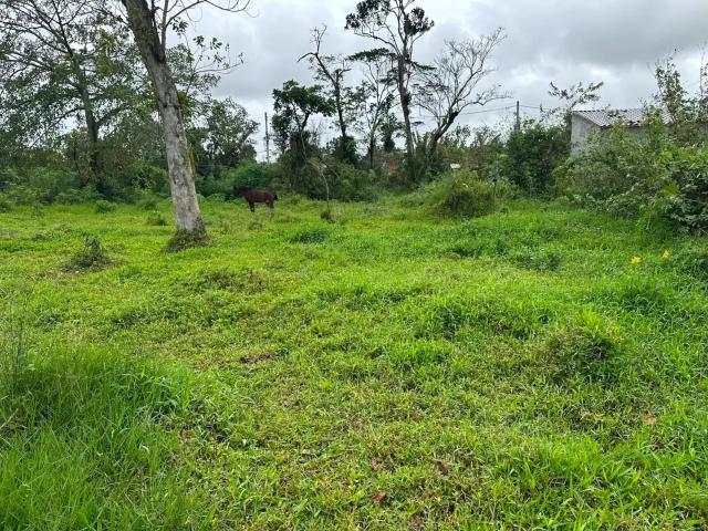 Terreno venda em Caraguatatuba, Região Geográfica Intermediária de São José dos Campos