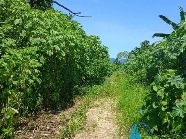 Terreno venda em Região Imediata de Caraguatatuba-Ubatuba-São Sebastião, Região Metropolitana do Vale do Paraíba e Litoral Norte