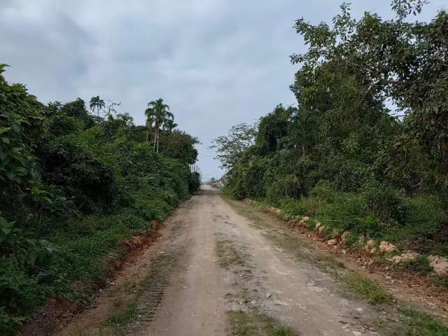 Terreno venda em Região Imediata de Caraguatatuba-Ubatuba-São Sebastião, Região Metropolitana do Vale do Paraíba e Litoral Norte
