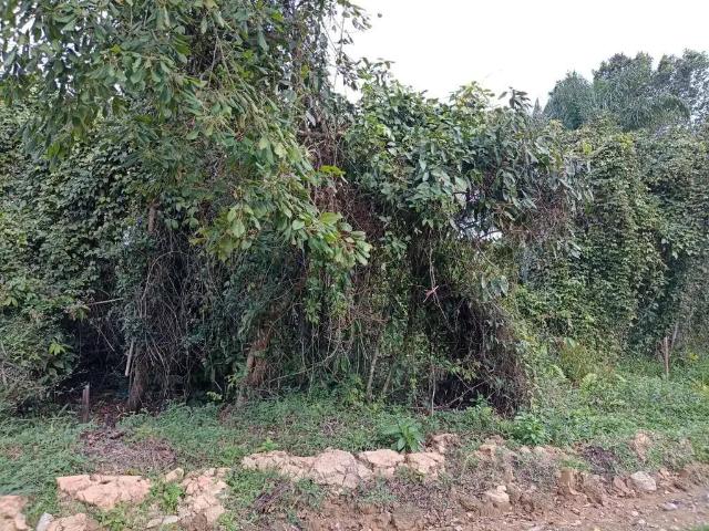 Terreno venda em Região Imediata de Caraguatatuba-Ubatuba-São Sebastião, Região Metropolitana do Vale do Paraíba e Litoral Norte