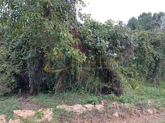 Terreno venda em Região Imediata de Caraguatatuba-Ubatuba-São Sebastião, Região Metropolitana do Vale do Paraíba e Litoral Norte