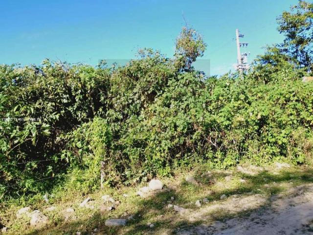 Terreno venda em Loteamento Israel Rodrigues Ferreira, Caraguatatuba
