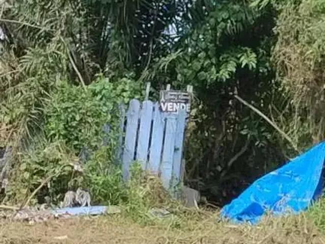 Terreno venda em Região Imediata de Caraguatatuba-Ubatuba-São Sebastião, Região Metropolitana do Vale do Paraíba e Litoral Norte