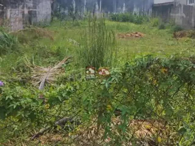 Terreno venda em Região Imediata de Caraguatatuba-Ubatuba-São Sebastião, Região Metropolitana do Vale do Paraíba e Litoral Norte