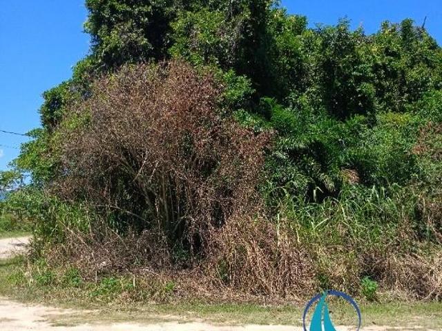 Terreno venda em Balneário Forest, Caraguatatuba