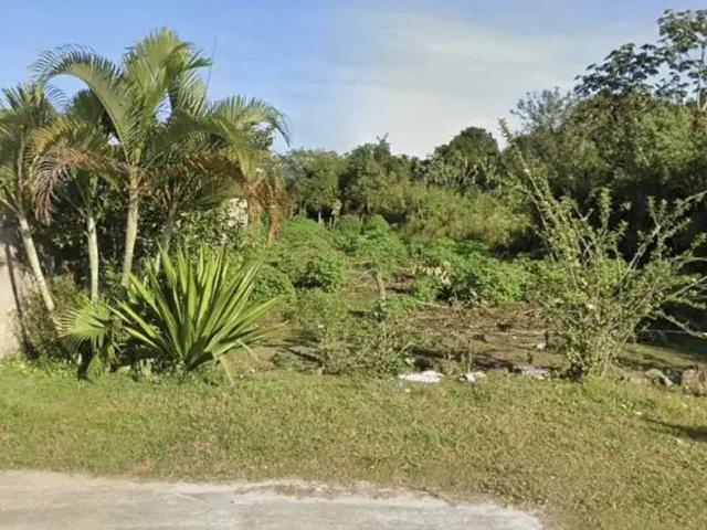 Terreno venda em Caraguatatuba, Região Geográfica Intermediária de São José dos Campos