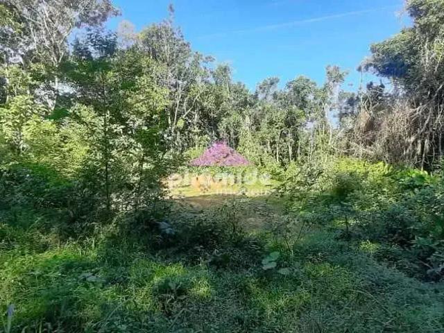 Terreno venda em Região Imediata de Caraguatatuba-Ubatuba-São Sebastião, Região Metropolitana do Vale do Paraíba e Litoral Norte