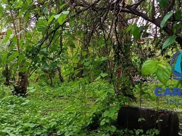 Terreno venda em Balneário Mar Azul, Caraguatatuba