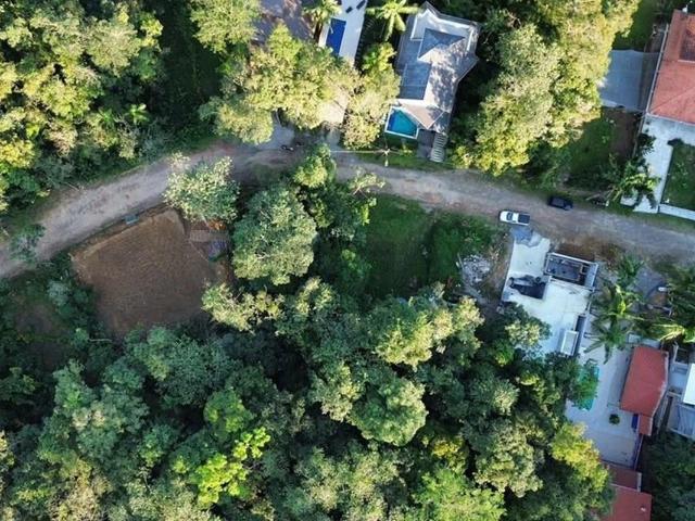 Terreno venda em Balneário Forest, Caraguatatuba