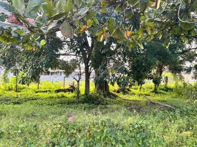 Terreno venda em Caraguatatuba, Região Geográfica Intermediária de São José dos Campos