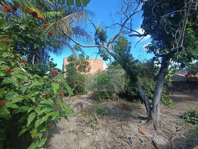 Terreno venda em Loteamento Israel Rodrigues Ferreira, Caraguatatuba