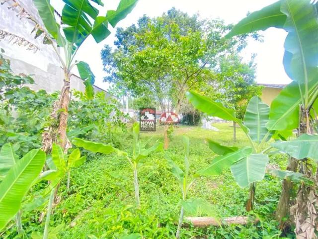 Terreno venda em Jardim Califórnia, Caraguatatuba