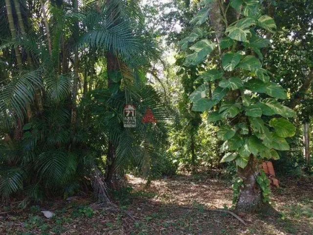 Terreno venda em Região Imediata de Caraguatatuba-Ubatuba-São Sebastião, Região Metropolitana do Vale do Paraíba e Litoral Norte