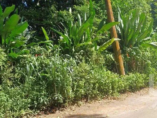 Terreno venda em Região Imediata de Caraguatatuba-Ubatuba-São Sebastião, Região Metropolitana do Vale do Paraíba e Litoral Norte
