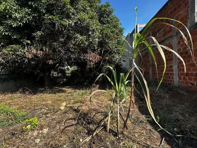 Terreno venda em Região Geográfica Imediata de Caratinga, Caratinga
