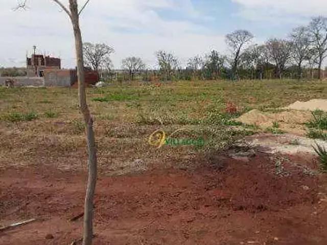Terreno venda em Cardoso