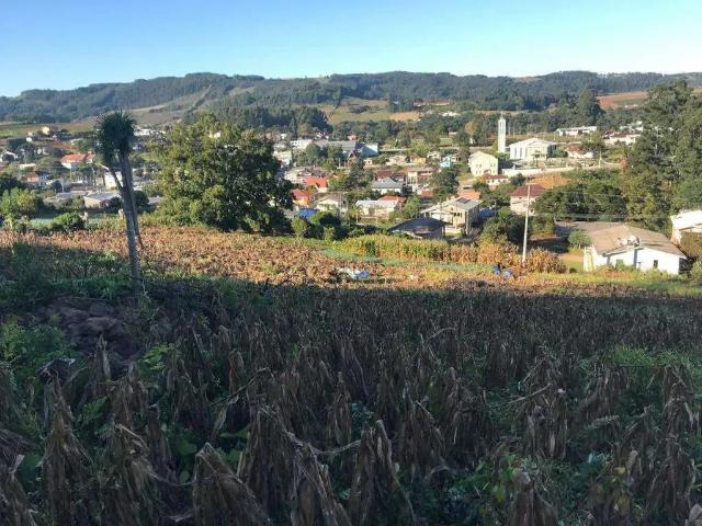 Terreno venda em Região Geográfica Imediata de Bento Gonçalves, Carlos Barbosa